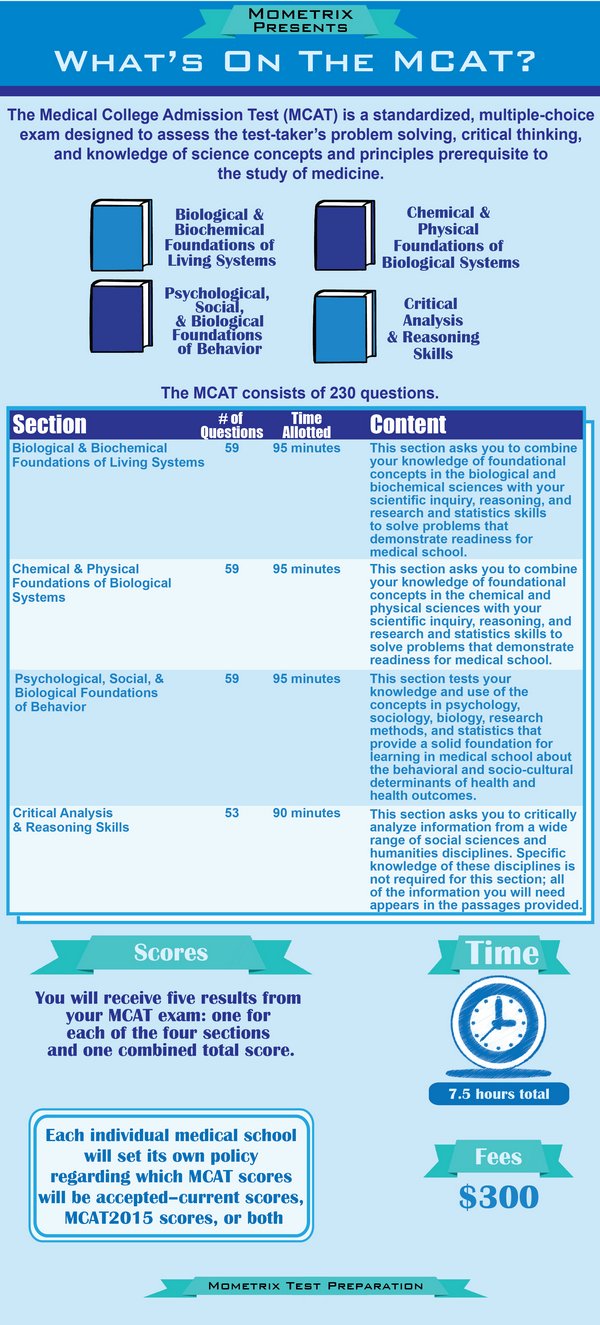 blueprint of an essay blueprint of an essay